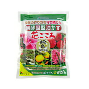 Ԃ y yŌ^ 嗱 500g x 35Zbg 엿ʂ₩ Cōv ̔엿Y