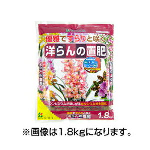 Ԃ Dłƍ炭 m̒u 500g x 35Zbg VrWEKvȃJVE𑽂z yςōɗDL@̂̌Ō^엿