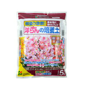 Ԃ 蔲Q m̔|{y 5L x 8Zbg ̐RRibcnXNz 엿ǂ[ICgz