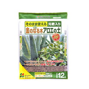 Ԃ ̂Ȃ AG̓y 12L 4Zbg