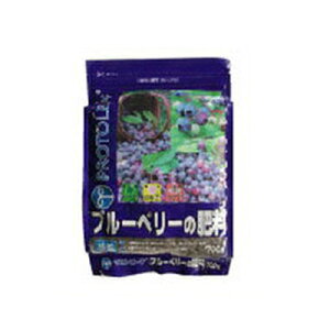 vg[t u[x[̔엿 700g x 30Zbg S̗L@엿 16ނ̃A~m_  Ef ؎ 