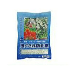 vg[t h~ 600g 32Zbg