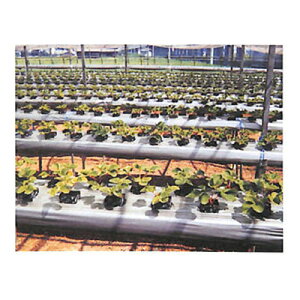 ҖvX`bNX Vo[}` cWVo[ 0.03mm×95cm×200m 3{