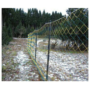 ̃AOikdqj dC ʓdlbg T^lbg 304 2m X 50m ʓd6i dClbg ڍ100mm