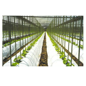 lzOK  g[J }` ubNzCg 0.025mm 95cm 200m 3{ _Ǝ n}  Ռ nEX͔| In g}g C`S } ^X nNTC zE\
