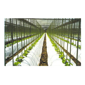 マルチ 野菜 その他の農業資材 ガーデニング用品の人気商品 通販 価格比較 価格 Com マルチ 野菜 その他の農業資材 ガーデニング用品の人気商品 通販 価格比較 価格 Com