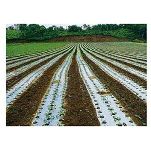 �l��z��OK ��� �g�[�J�� �{�[�`���E�V���o�[L ����0.023mm ��95cm 200m�� 3�{�� �L���A�u�����V�E�~�i�~�L�C���A�U�~�E�}�̔򗈖h�~ �h�����ʂ���