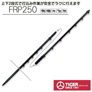 dC x ^CK[ TBS-PF31250 KCVtFRPx FRP250 T 10{ i31mma×250cmji㉺2ij Aj}|[ FRPT TAK-PFM001