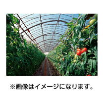 楽天市場】農 ビニール 270の通販
