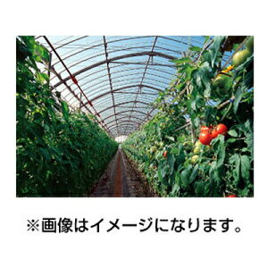 ビニールハウス ビニールの人気商品 通販 価格比較 価格 Com ビニールハウス ビニールの人気商品 通販 価格比較 価格 Com
