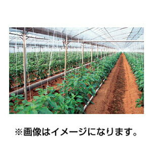 lOK ALX Op _r mL[Ƃܐ 0.1mm X 270cm X 100m _Ǝ OJbg aQ} hH  rj[nEX