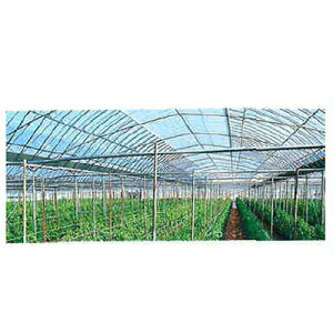 lOK ALX p _r mL[E`o 0.05mm X 300cm X 100m _Ǝ hH ͔| hH  rj[nEX