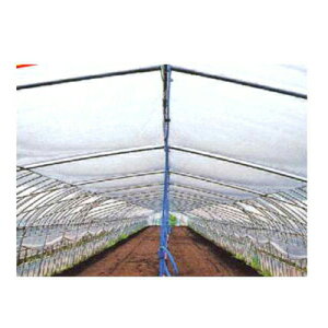 lOK ALX  J[ep _r kN}[Z 0.075mm X 270cm X 100m _Ǝ ۉ hH  rj[nEX gl