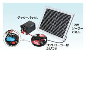 dq dC  12W\[[pbNZbg iDC12Vj \[[pl d