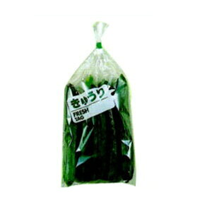 ma FG {[h tbV^O イ 20 160×340 10000×3ysz