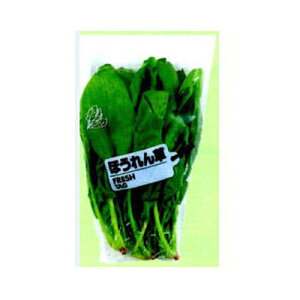 ma FG {[h tbV^O ق 20 280×300×120R[i[Jbg 8000×3ysz