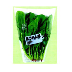 ma FG {[h tbV^O ق 20 280×330×120R[i[Jbg 8000ysz