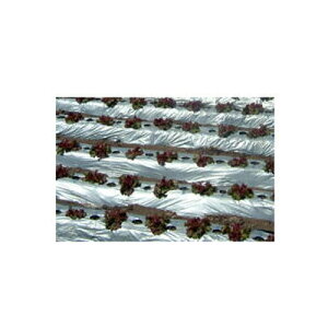 J C^j o[X}` ⍕ 0.023mm×150cm×200m 3{