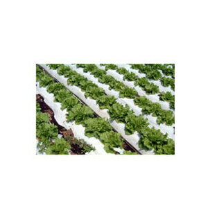 J C^j o[X}`  0.023mm×135cm×200m 3{