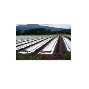 J C^j OwVo[| h}` 0.03mm×135cm×200m 2{