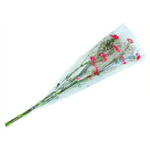 �ϐ����� �Z�L�X�C OP�z���_�[�p �ԑ� ��30 200/55×450+50 3000���� �y����s�z �ԑ��p�t�B���� �t�����[�� �t�����[�p�b�N �t�����[�L���b�v