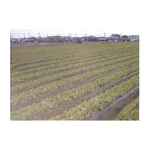 ҖvX`bNX }` 2{ 0.03mm×135cm×200m