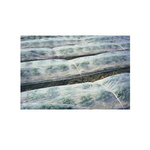 j`J ׂp sDz pXCg 360cm×200m 2{ S0153WGE