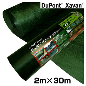 hV[g Uo[ hV[g 240 2m  f| Uo[ 240G O[ 2m X 30m 1{ _Ǝ |pi ƒ؉ K[fjO hXP[v 