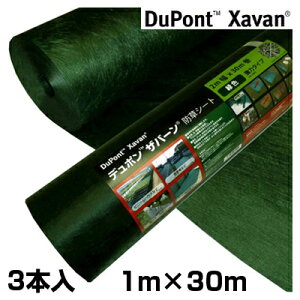 hV[g Uo[ hV[g 240 1m  f| Uo[ 240G O[ 1 X 30m 3{ y؍H H zd K\[[ hXP[v 