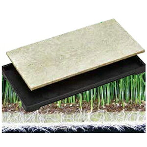 ulzs @l cƏ~ߕsv cp ^|n G[X}bg D^Cv gnp 579×279×13mm 30 {bNE[ ysz