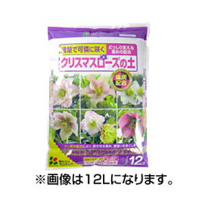 Ԃ ^ŉɍ炭 NX}X[Y̓y 5L x 8Zbg Y̔zɂrߍǂ܂ ԋʓyz