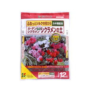 Ԃ K[fVNEVN̓y 12L 4Zbg