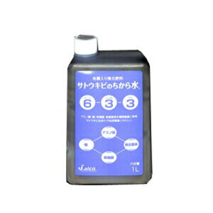 WF[AR TgELr̂琅 1L 12{ 6-3-3 t̔엿 t {AR[Y