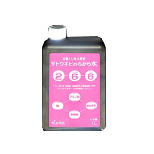 WF[AR TgELr̂琅 1L 12{ 2-6-6 t̔엿 t {AR[Y