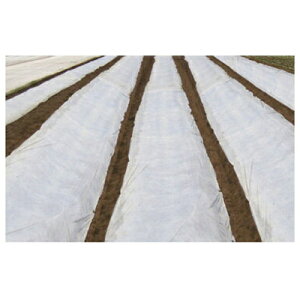JX���� �s�D�z �����t �i���z�j �� �Ռ���5% �h��/�ۉ�/�ʋC�p 2.1m X 100m 3���� 210cm �y����s�z