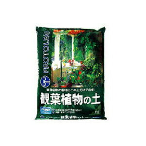 vg[t ϗtA̓y 5L 10Zbg