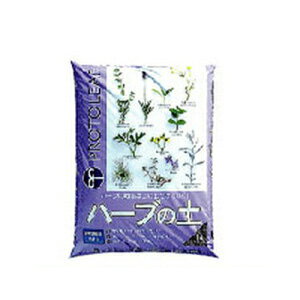 vg[t n[u̓y 2L 20Zbg