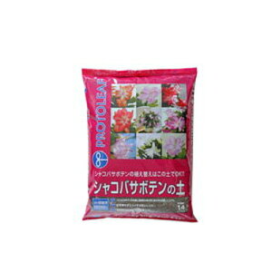 vg[t VRoT{e̓y 14L 4Zbg