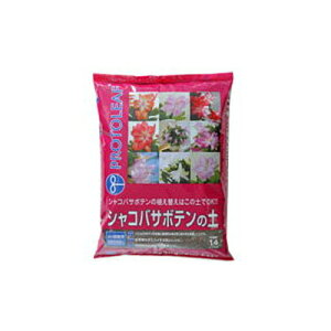 vg[t VRoT{e̓y 5L x 10Zbg A Aւ  rdz RRVK s[gX