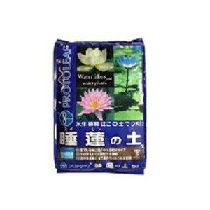 vg[t @̓y 5L x 6Zbg XC A͂̓yOK  ɂ ~l ԓycy ycy