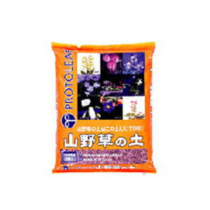 vg[t R쑐̓y 2L 20Zbg