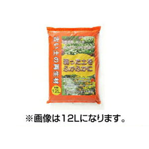 vg[t Ây̍Đ 5L 12Zbg