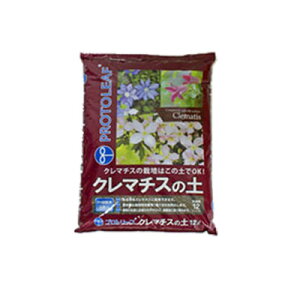 vg[t N}`X̓y 12L 4Zbg