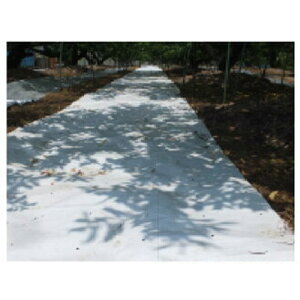 H ˃V[g Xm[ebNX iLEj 1.5m X 50m p[zCg 2{ ysz 150cm  Fti ՔMV[g