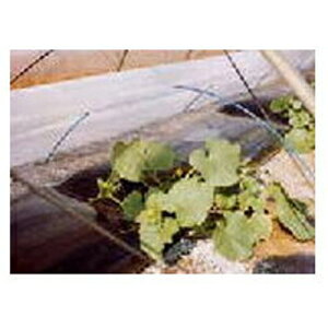 服部猛(旭化成せんい) トンネル・育苗用 不織布 E01025 マリエース 210cm×100m 3本入【代引不可】