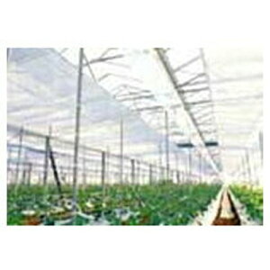 ҁi񂢁j J[ep sDz E01050L }G[X X[p[L 250cm×100m 3{iGtN[Ήjysz