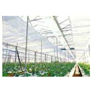 �����ҁi���������񂢁j ������J�[�e���p �s�D�z E01050L �}���G�[�X �X�[�p�[L 270cm×100m�i�G�t�N���[���Ή��j�y����s�z