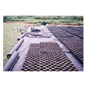 ҁi񂢁j ~p sDz  E01070BK }G[X 150cm×100m 3{ysz