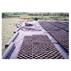 ҁi񂢁j ~p sDz  E01070BK }G[X 180cm×100m 3{ysz