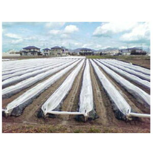 ҁi񂢁j ׂp sDz eNeNlI 60cm×200mysz